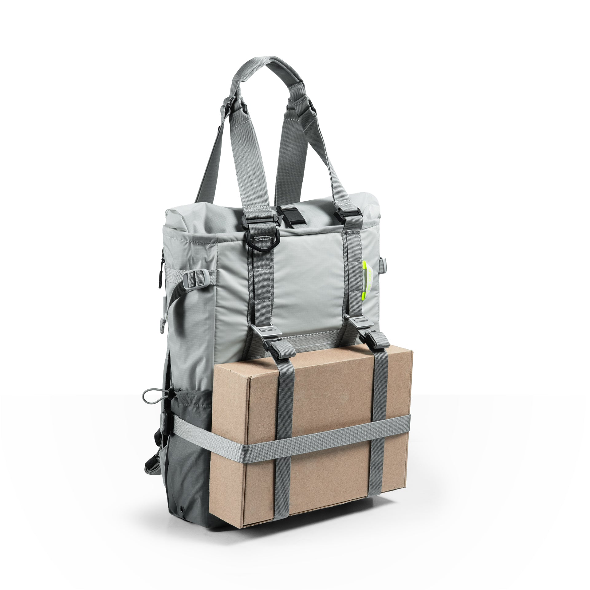The Transition - 'TOADPACK' | LBBJKT